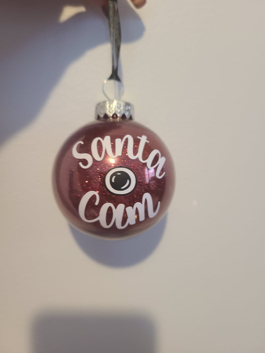 Santa Cam