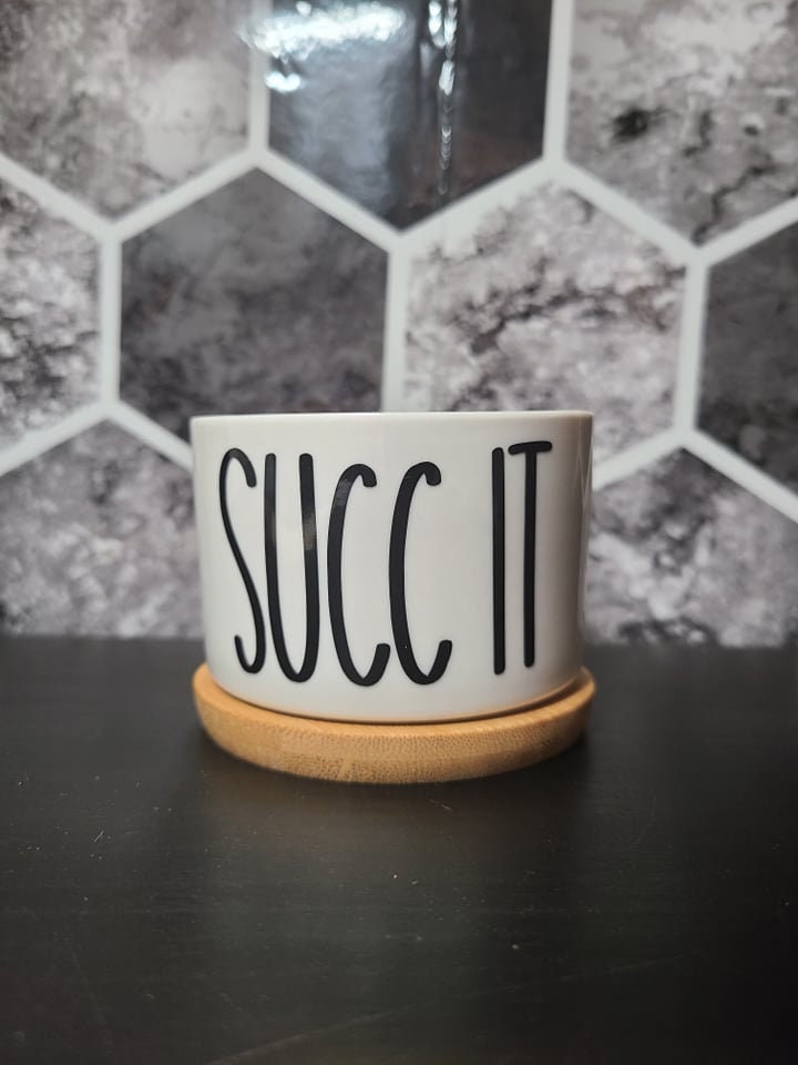MINI Succulent Pot Planters - Tiny-Funny Sayings Puns-Succ It, Be-Leaf in Yourself, Kiss My Cactus, Aloe There, Don't Be a Prick
