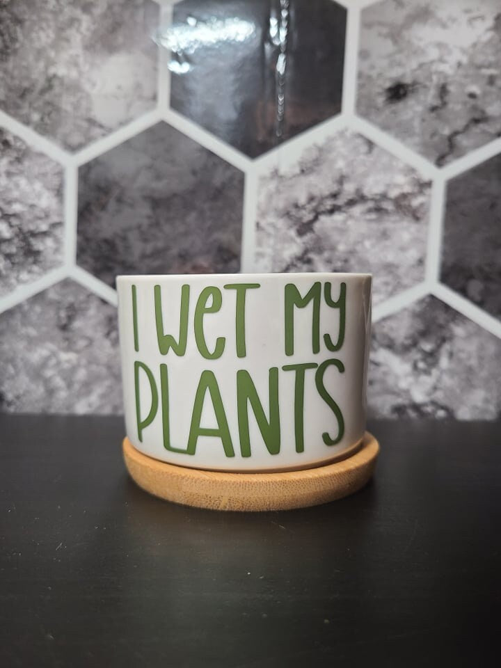 MINI Succulent Pot Planters - Tiny-Funny Sayings Puns-Succ It, Be-Leaf in Yourself, Kiss My Cactus, Aloe There, Don't Be a Prick