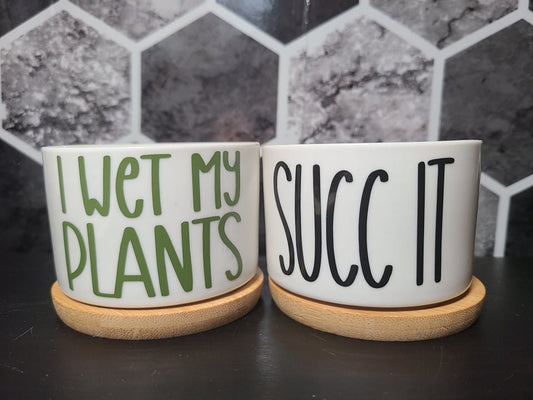 MINI Succulent Pot Planters - Tiny-Funny Sayings Puns-Succ It, Be-Leaf in Yourself, Kiss My Cactus, Aloe There, Don't Be a Prick