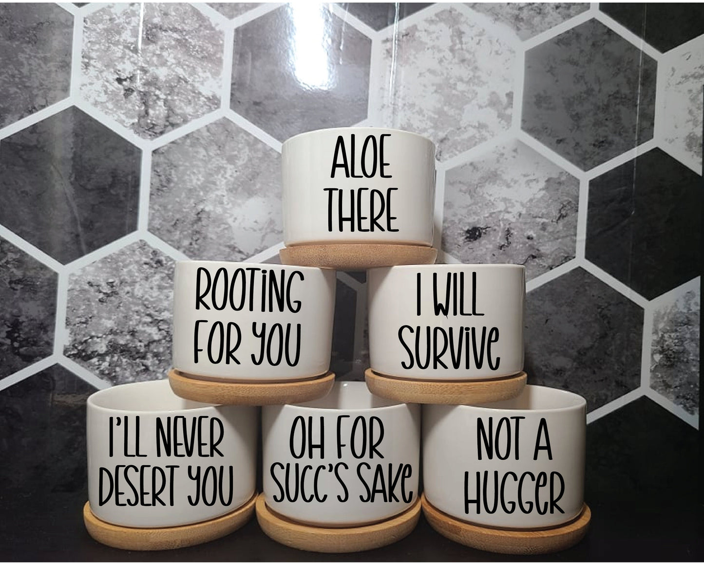 MINI Succulent Pot Planters - Tiny-Funny Sayings Puns-Succ It, Be-Leaf in Yourself, Kiss My Cactus, Aloe There, Don't Be a Prick