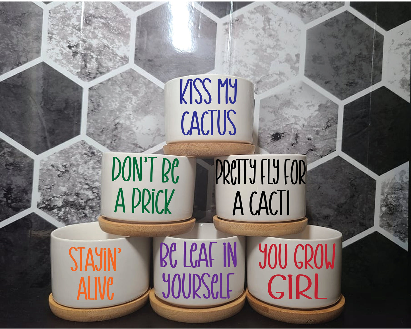 MINI Succulent Pot Planters - Tiny-Funny Sayings Puns-Succ It, Be-Leaf in Yourself, Kiss My Cactus, Aloe There, Don't Be a Prick